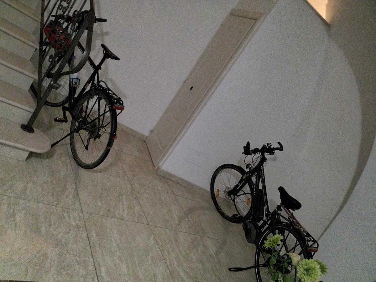圣塞韦罗Il Nuovo住宿加早餐旅馆 外观 照片
